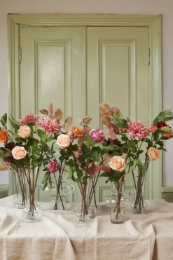 Rose H50 Beige