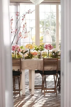 Rose H50 Fersken