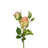 Rose H40 Gul