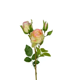 Rose H40 Gul