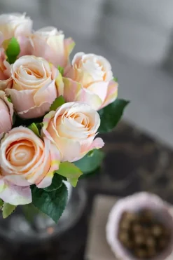 Rose H50 Gul/Fersken
