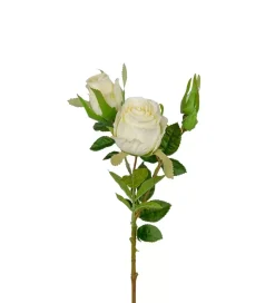 Rose H40 Hvit