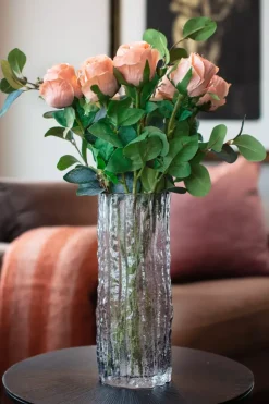 Rose H50 Rosa
