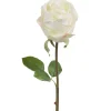 Rose Hvit H75