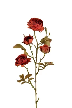 Rosekvist H60