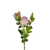Rose Lilla H40