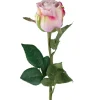 Rose Lys Lilla 50cm