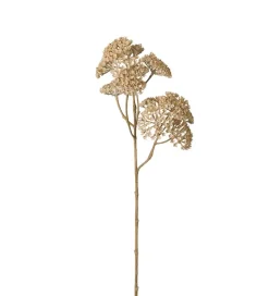 Ryllik Beige H50