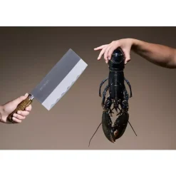 Sekiryu - Kinesisk kokkekniv 20 cm