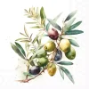Serviett Lunsj Olive branch