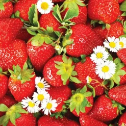 Serviett Lunsj Strawberry
