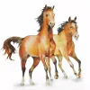 Serviett Lunsj Wild horses