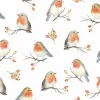 Serviett Robin Family
