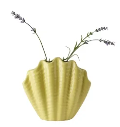 Shell Vase Gul H17
