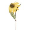 Solhatt Gul H25