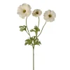 Sommerfuglridderspore Grønn H54