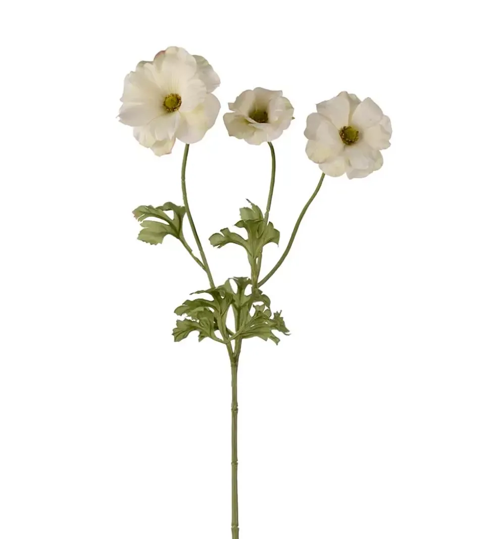 Sommerfuglridderspore Grønn H54