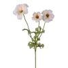 Sommerfuglridderspore Krem H54