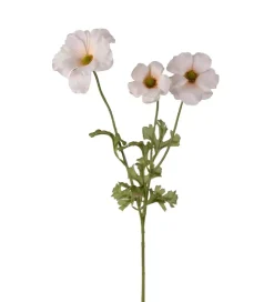 Sommerfuglridderspore Krem H54