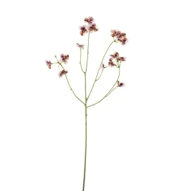 Stemorsblomst Flerfarget H63