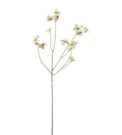 Stemorsblomst Grønn H63