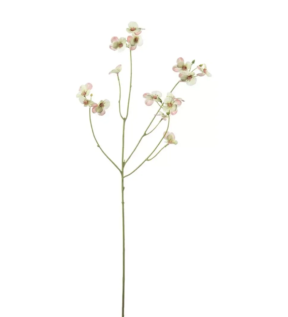 Stemorsblomst Grønn H63