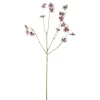 Stemorsblomst Lilla H63