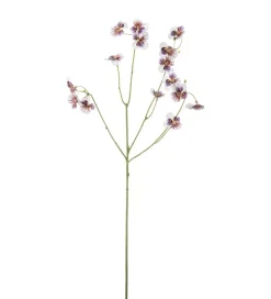 Stemorsblomst Lilla H63