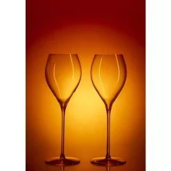 Stiernholm - Elegance - Champagneglass 2-pk - 29 cl