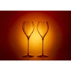 Stiernholm - Elegance - Champagneglass 2-pk - 29 cl