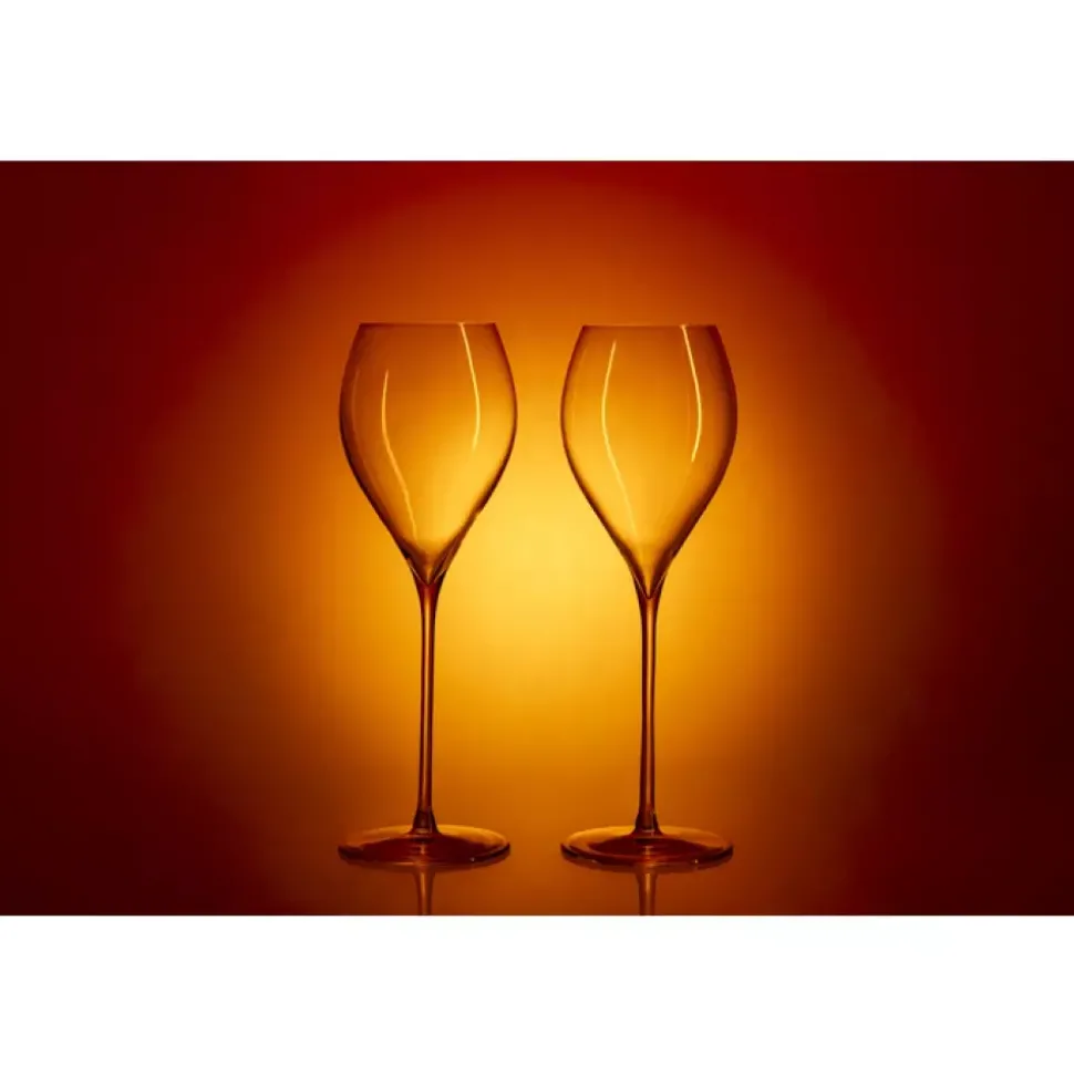 Stiernholm - Elegance - Champagneglass 2-pk - 29 cl