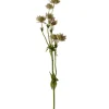 Stjerneskjerm Rosa H55