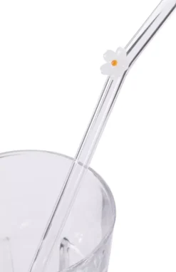 Sugerør Glass s/5