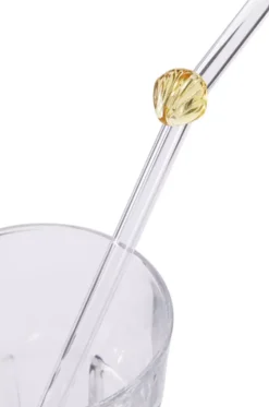 Sugerør Glass s/5