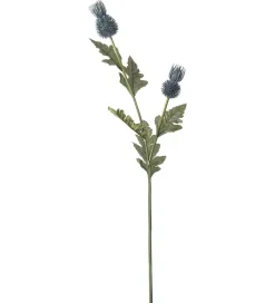Tistel Blå H92