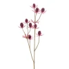 Tistel Brun H40