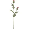 Tistel Rosa H92