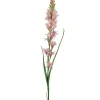 Tuberose H90