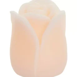 Tulipa Ledlys H7,5 Rosa