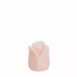 Tulipa Ledlys H7,5 Rosa