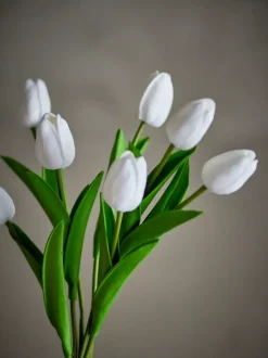 Tulipanbukett Hvit (16stk)