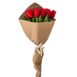 Tulipanbukett Rød (16stk)
