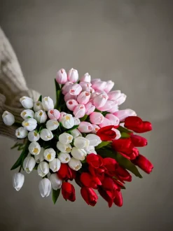 Tulipanbukett Rød (16stk)
