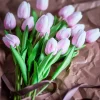 Tulipanbukett Rosa (16stk)