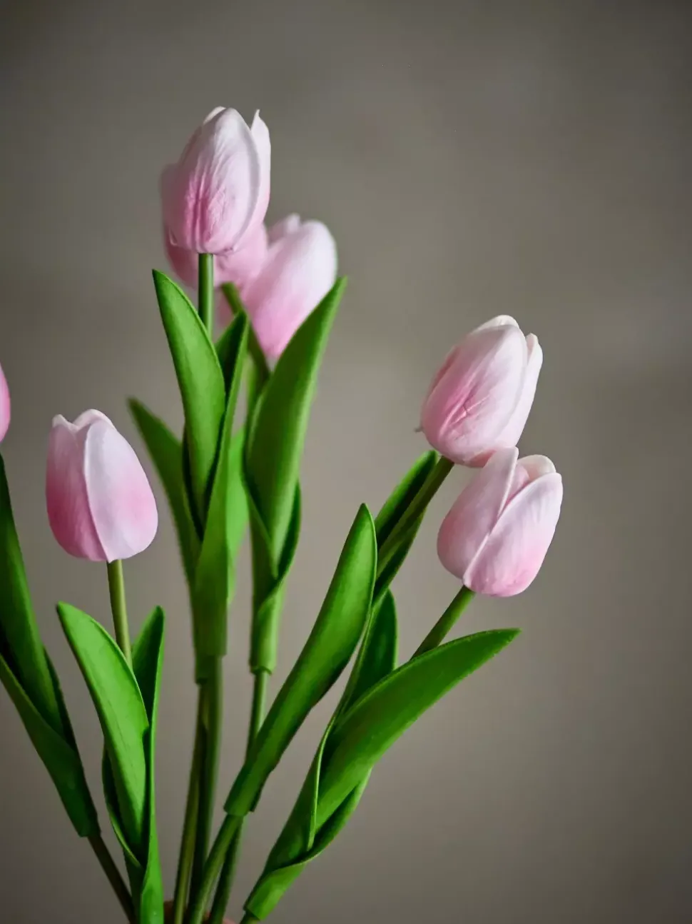 Tulipanbukett Rosa (16stk)