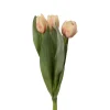 Tulipan Fersken H36 (1 stk Ass)