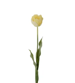 Tulipan Gul