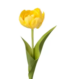Tulipan Gul 36cm