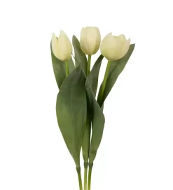 Tulipan Gul H36