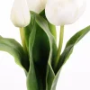 Tulipan Hvit H36 (1 stk)